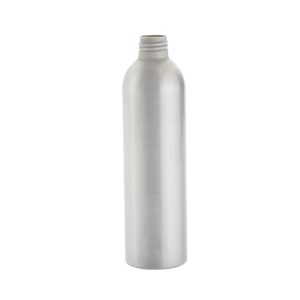 Silver bottle with screw-lid