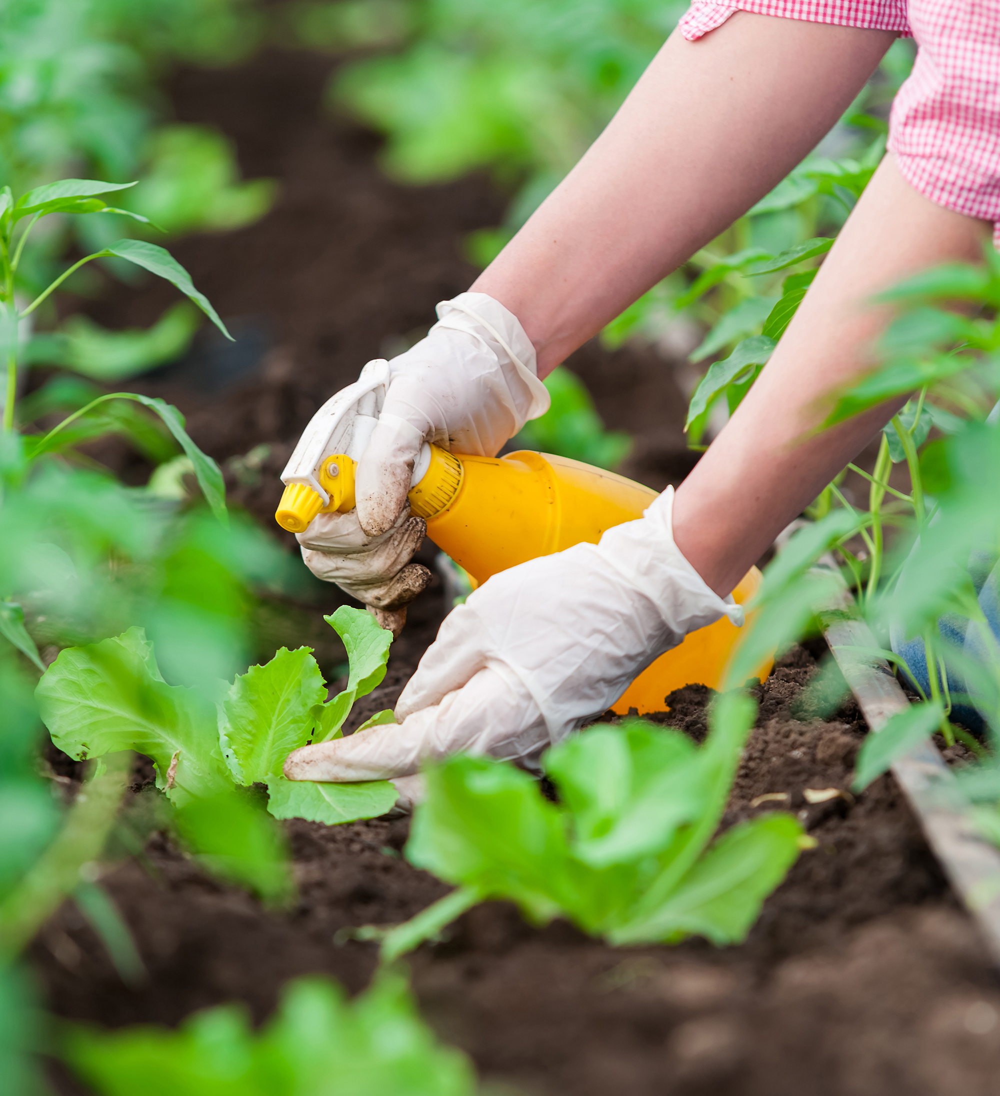 Lawn & Garden Care Packaging 